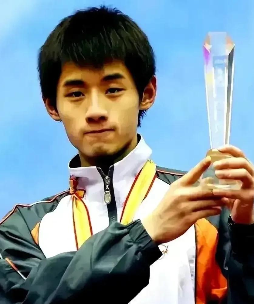 关于比利时乒乓球队翻盘瑞典乒乓球队，王皓惊艳世界的信息