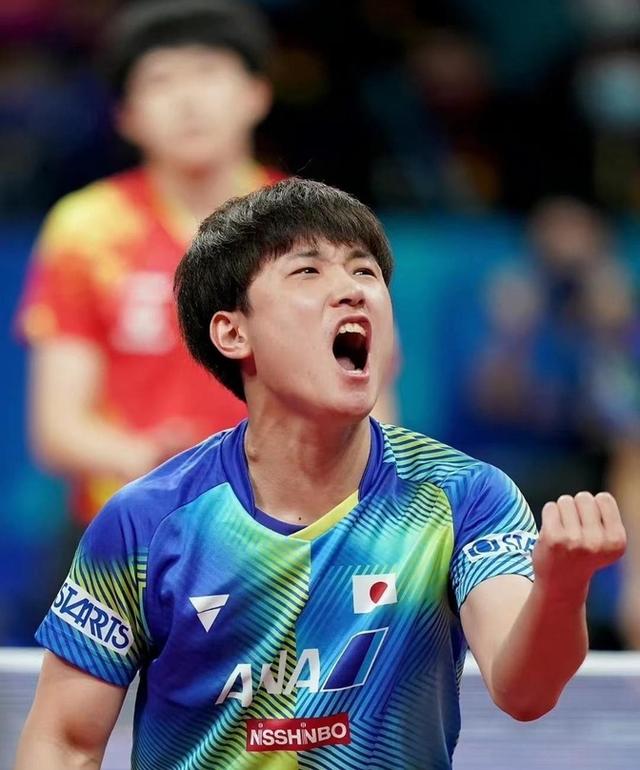 波兰乒乓球队轻取比利时乒乓球队，张本智和制霸全场