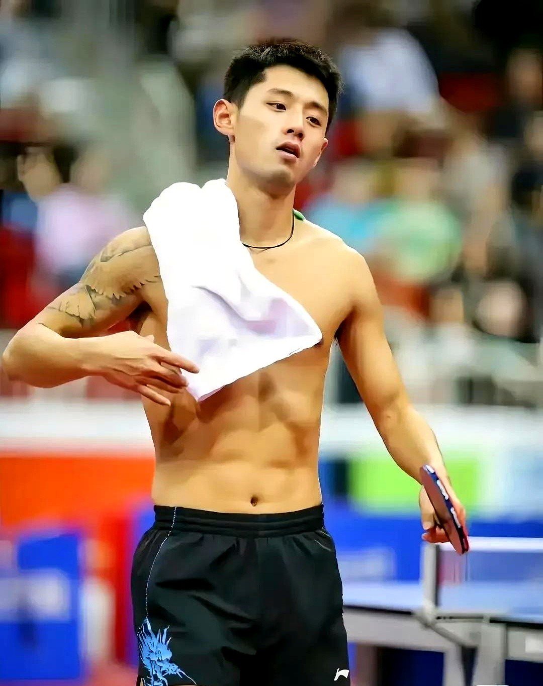 波兰乒乓球队碾压日本乒乓球队，张继科制霸全场