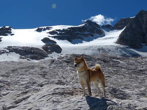锁喉！卢卡库终场前亮剑，切尔西用最残酷的方式拖垮毕巴