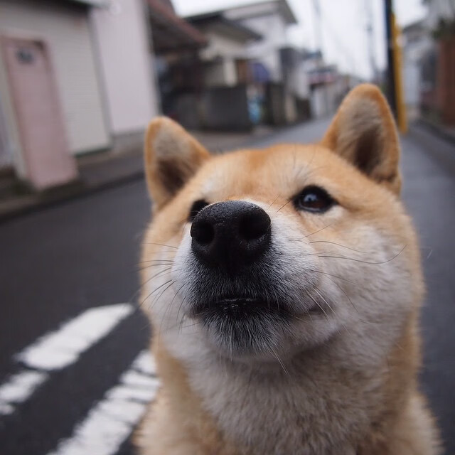 唯一，奥运10号的第一次与最后一次飞翔