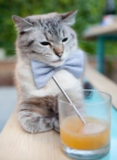 厄德高唯一性，他用手术刀般的右脚，为雷恩终结了一个国家的黄金时代