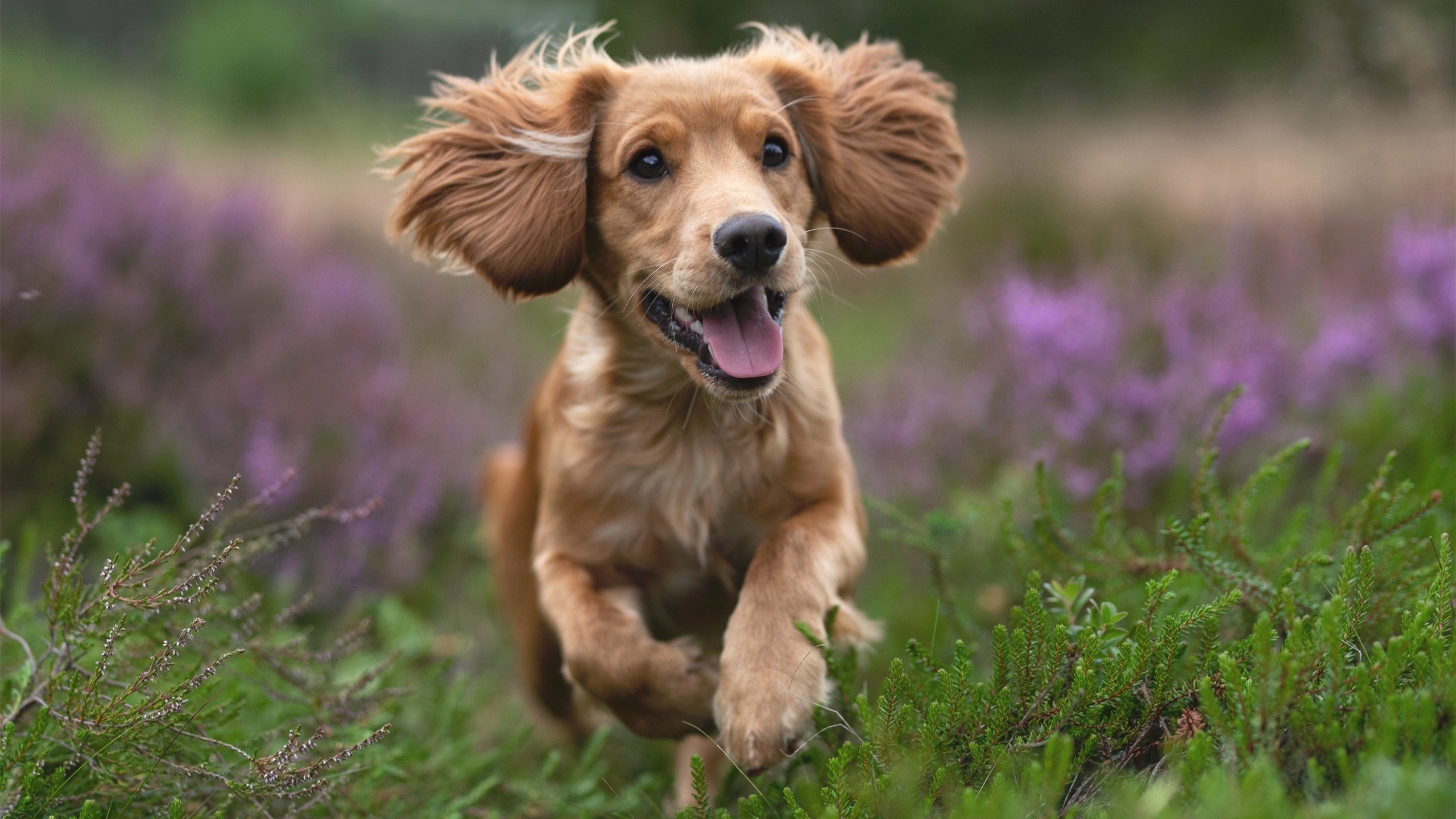 拉文单骑救主！马刺加时鏖战靠致命封喉绝杀步行者