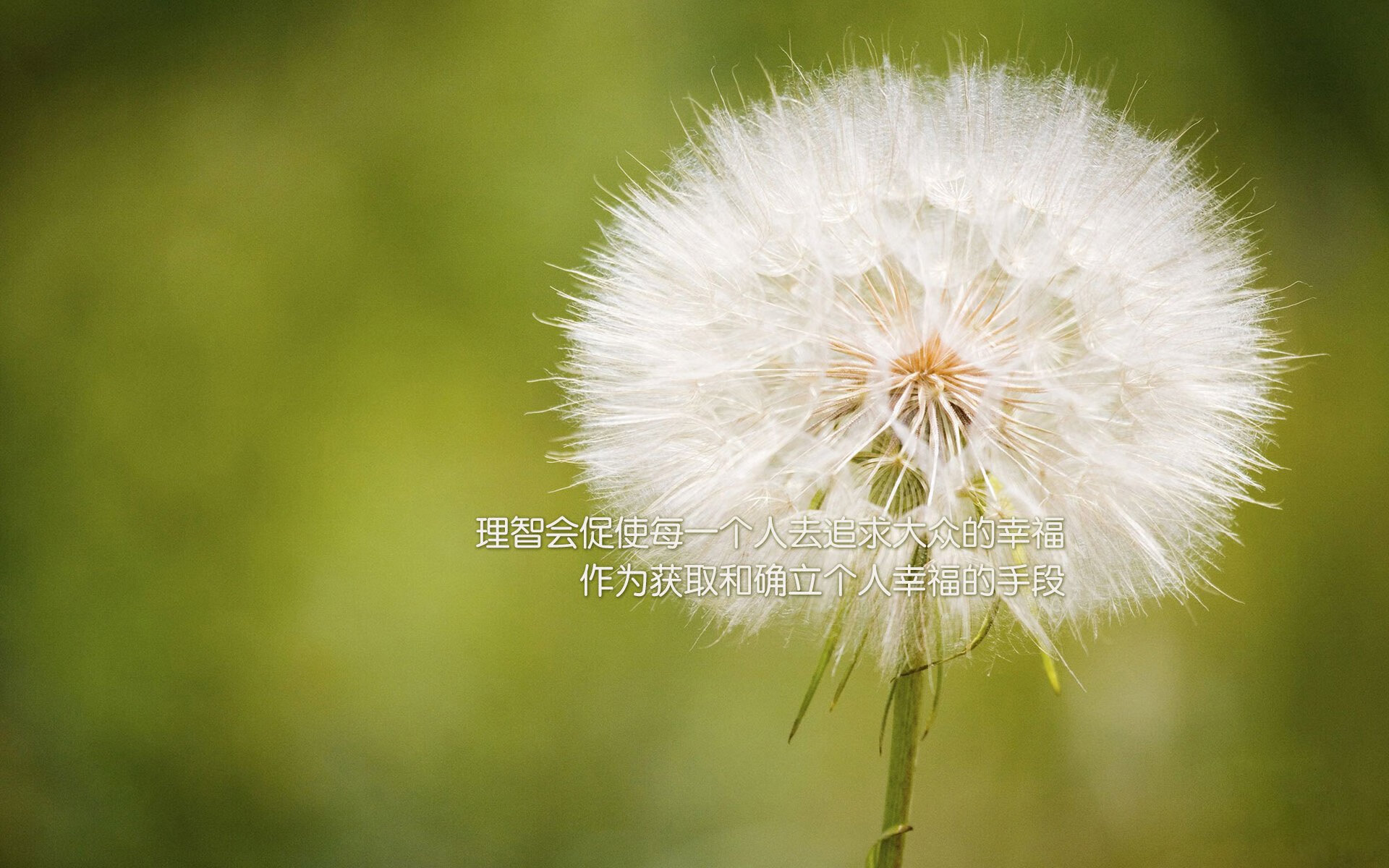 钢闸与飓风之间，皮克如何以一人之力重构哥斯达黎加对阵墨西哥的赛场物理