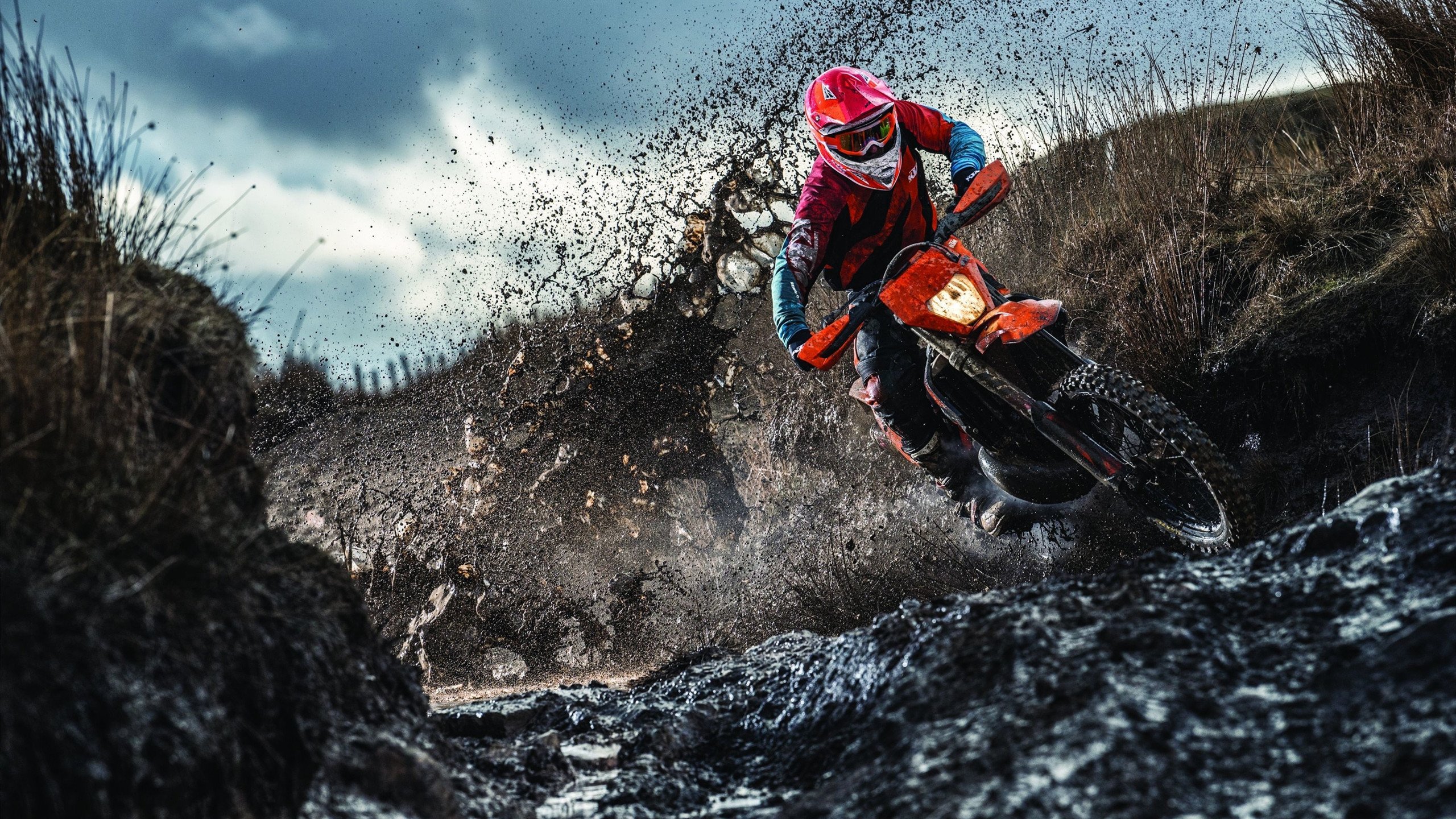 灰熊用暴力篮球破解数据迷信!戈贝尔掌控全场成最强破壁人