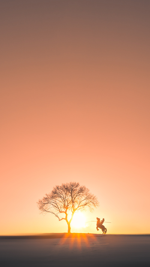 战袍呼啸处，当北境极光与撒哈拉热浪碰撞，努涅斯末节惊雷接管比赛