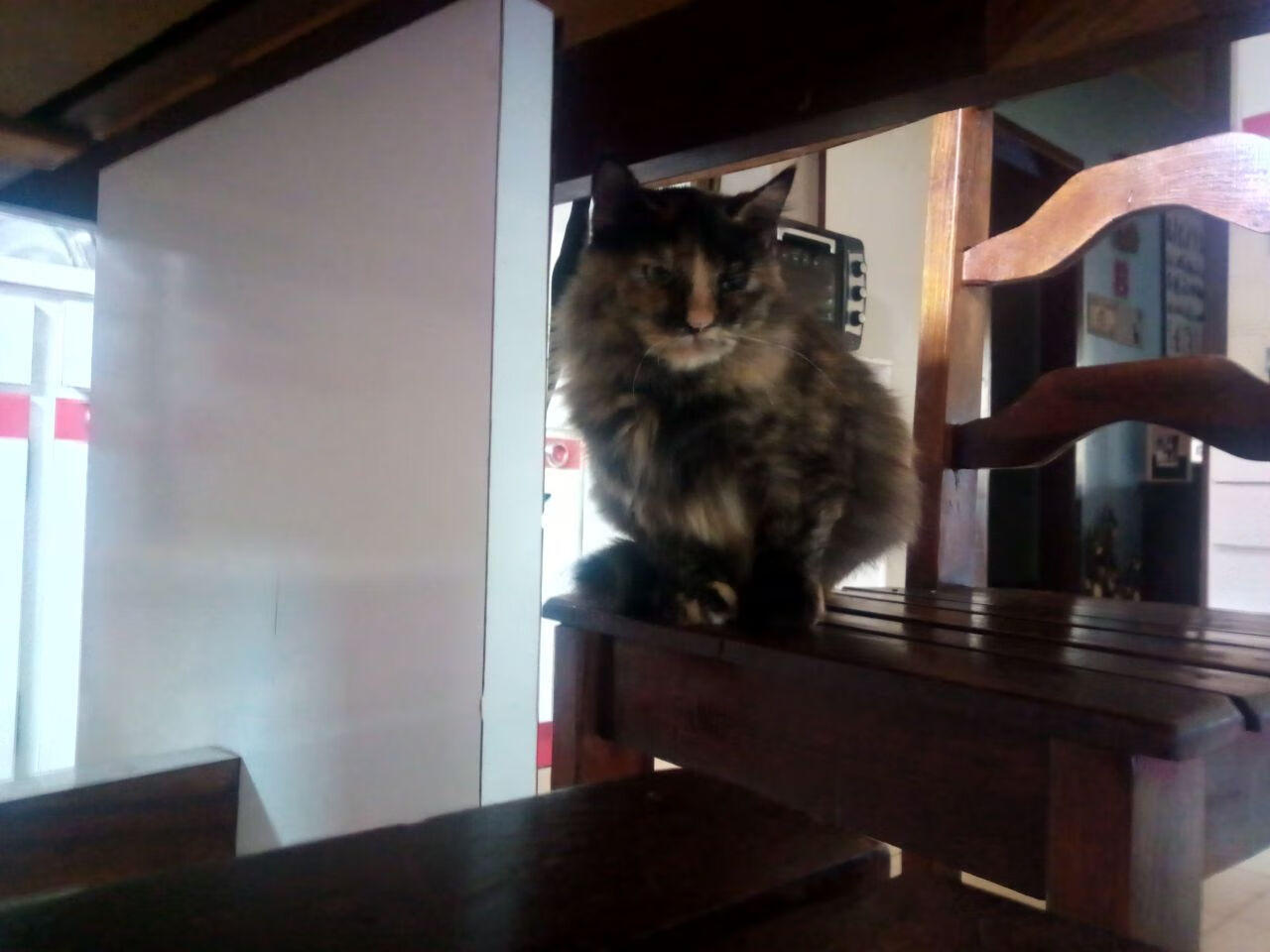 经典与新篇,莫德里奇掌控的黄昏,丹麦燃起的逆袭黎明