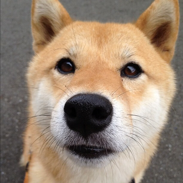 冷静基因的胜利，从阿坎吉的关键战血脉到美国门神爆冷曼联的映射