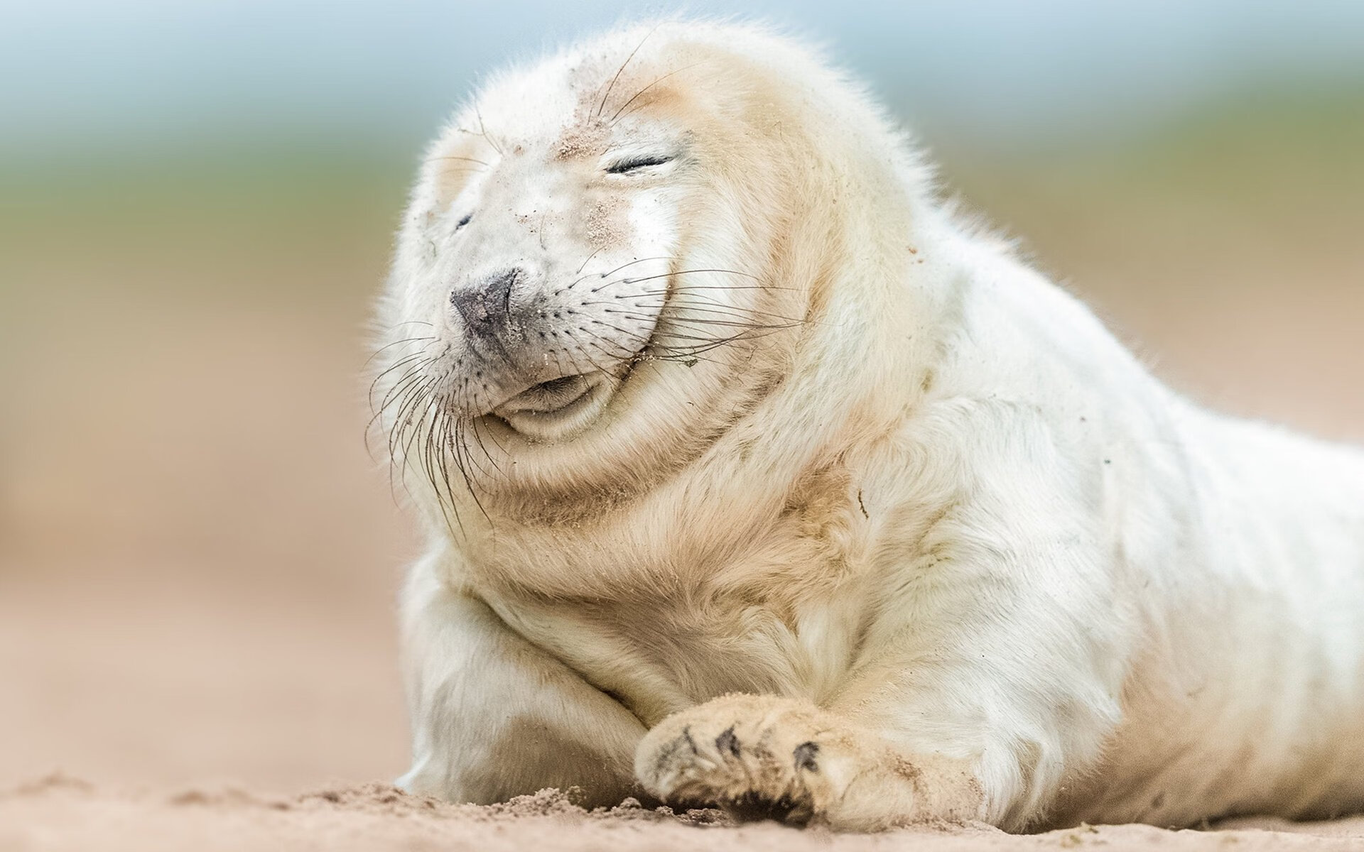 当篮球的哨声在2026世界杯决赛响起，哈登如何成为改写足球之夜的唯一焦点