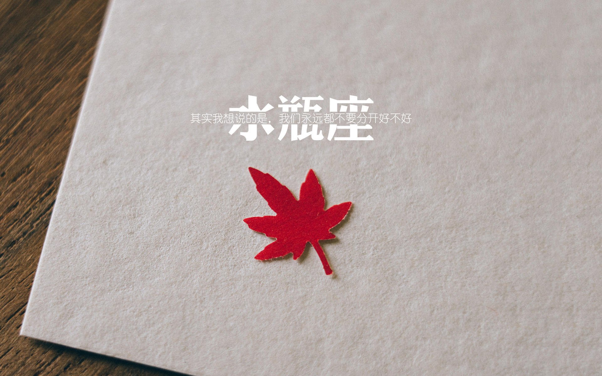 绿茵沙场上的唯一瞬间,美加墨世界杯焦点战,乌拉圭险胜摩洛哥,维尼修斯独舞星光